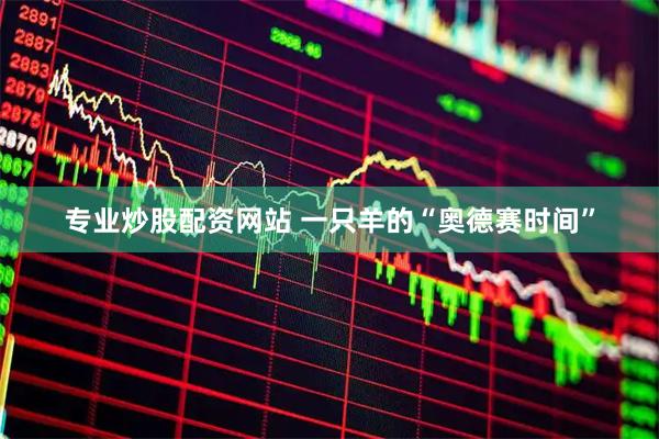 专业炒股配资网站 一只羊的“奥德赛时间”